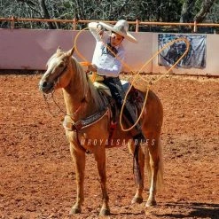 Guadalajara Western Wear Accessories Soga Para Florear (Pink / Lime)