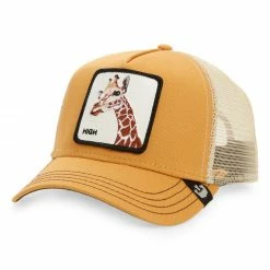 Guadalajara Western Wear So High