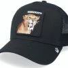 Guadalajara Western Wear The Sabertooth Tiger- Black Accessories