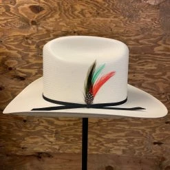 Guadalajara Western Wear Cuernos Chuecos 100x Durango (Copa Alta)