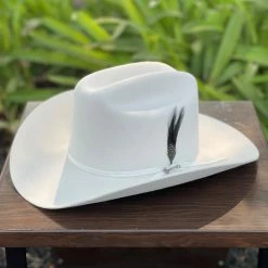 Men Stetson 6x Spartan Premium White Diamante Negro Cowboy Felt Hat Sinaloa (Copa Chica Falda/Brim 3.5")