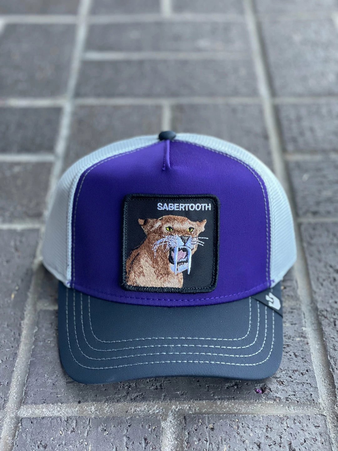 Guadalajara Western Wear Accessories The Sabertooth 3 Guadalajara Western Wear Accessories The Sabertooth