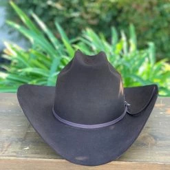 Men Stetson 6x Rancher Chocolate Cowboy Felt Hat (Copa Alta Falda/Brim 4")