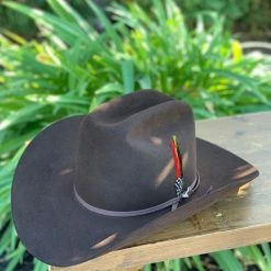 Men Stetson 6x Rancher Chocolate Cowboy Felt Hat (Copa Alta Falda/Brim 4")