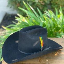 Stetson 6x Rancher Black Cowboy Felt Hat (Copa Alta Falda/Brim 4")