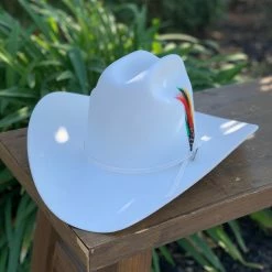Men Stetson 6x Rancher Premium White Cowboy Felt Hat (Copa Alta Falda/Brim 4")