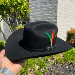 Guadalajara Western Wear Men Cuernos Chuecos 6x Chaparral (Copa Chica Falda 3.5) 12 Guadalajara Western Wear Men Cuernos Chuecos 6x Chaparral (Copa Chica Falda 3.5)