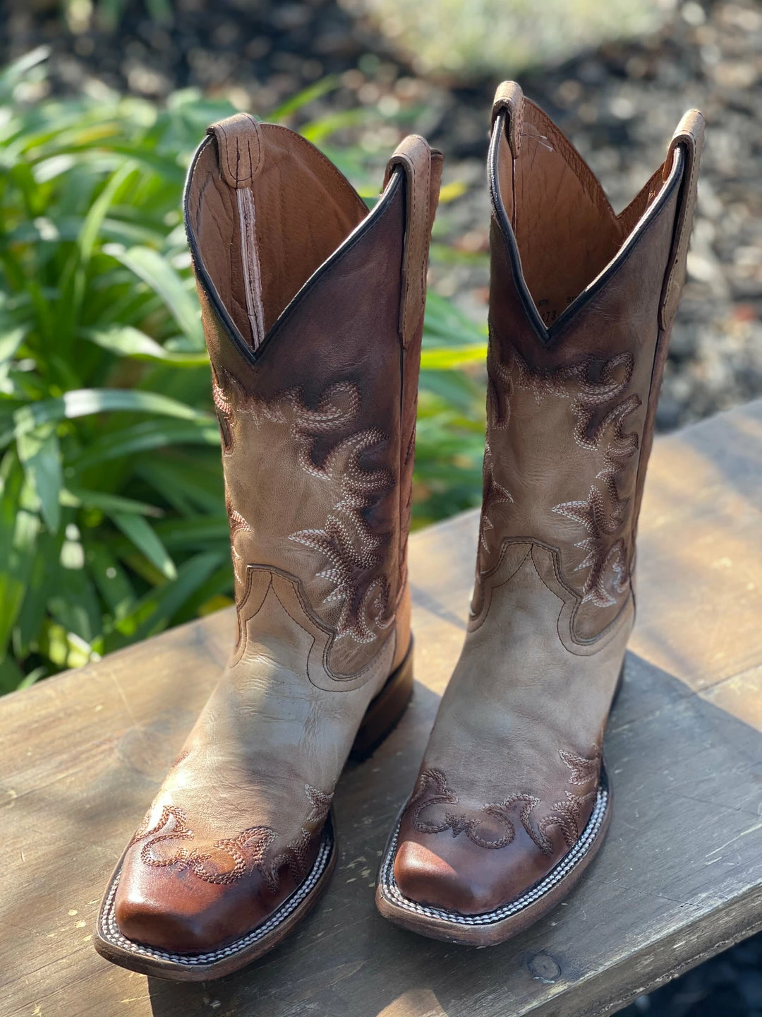 Guadalajara Western Wear Circle G By Corral Women's Honey Chocolate Embroidery Square Toe Boot 7 Guadalajara Western Wear Circle G By Corral Women's Honey Chocolate Embroidery Square Toe Boot