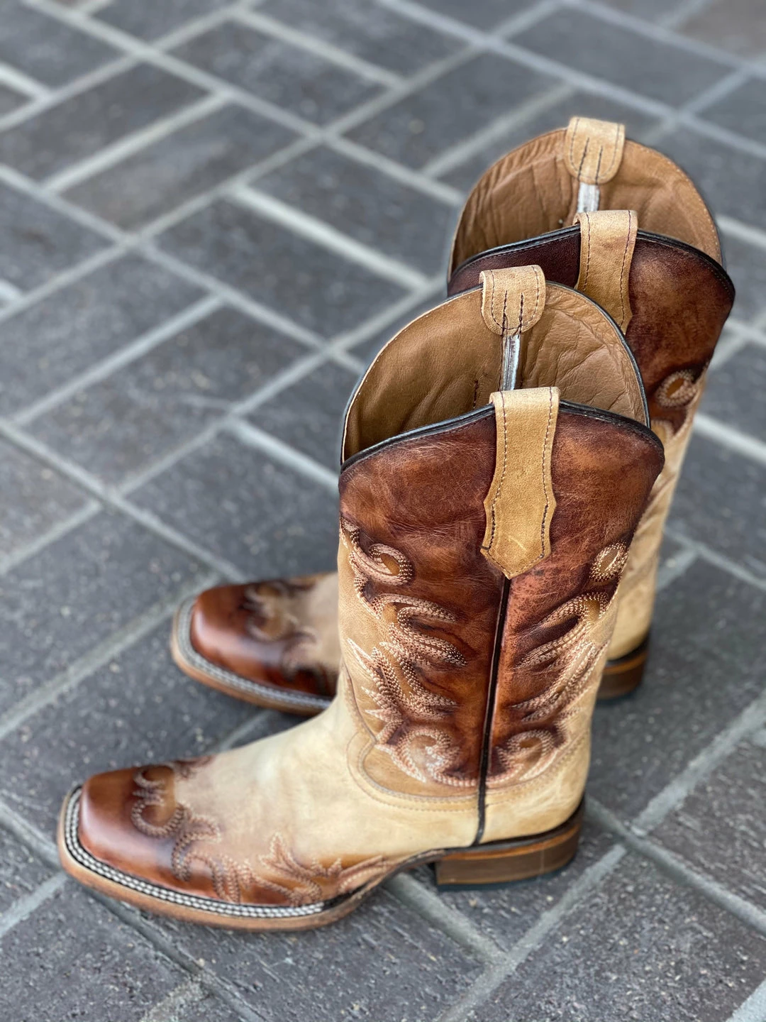 Guadalajara Western Wear Circle G By Corral Women's Honey Chocolate Embroidery Square Toe Boot 5 Guadalajara Western Wear Circle G By Corral Women's Honey Chocolate Embroidery Square Toe Boot