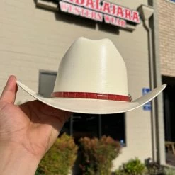 Guadalajara Western Wear Cuernos Chuecos 150x Chaparral (Copa Chica Falda Chica 3") Toquilla Cognac