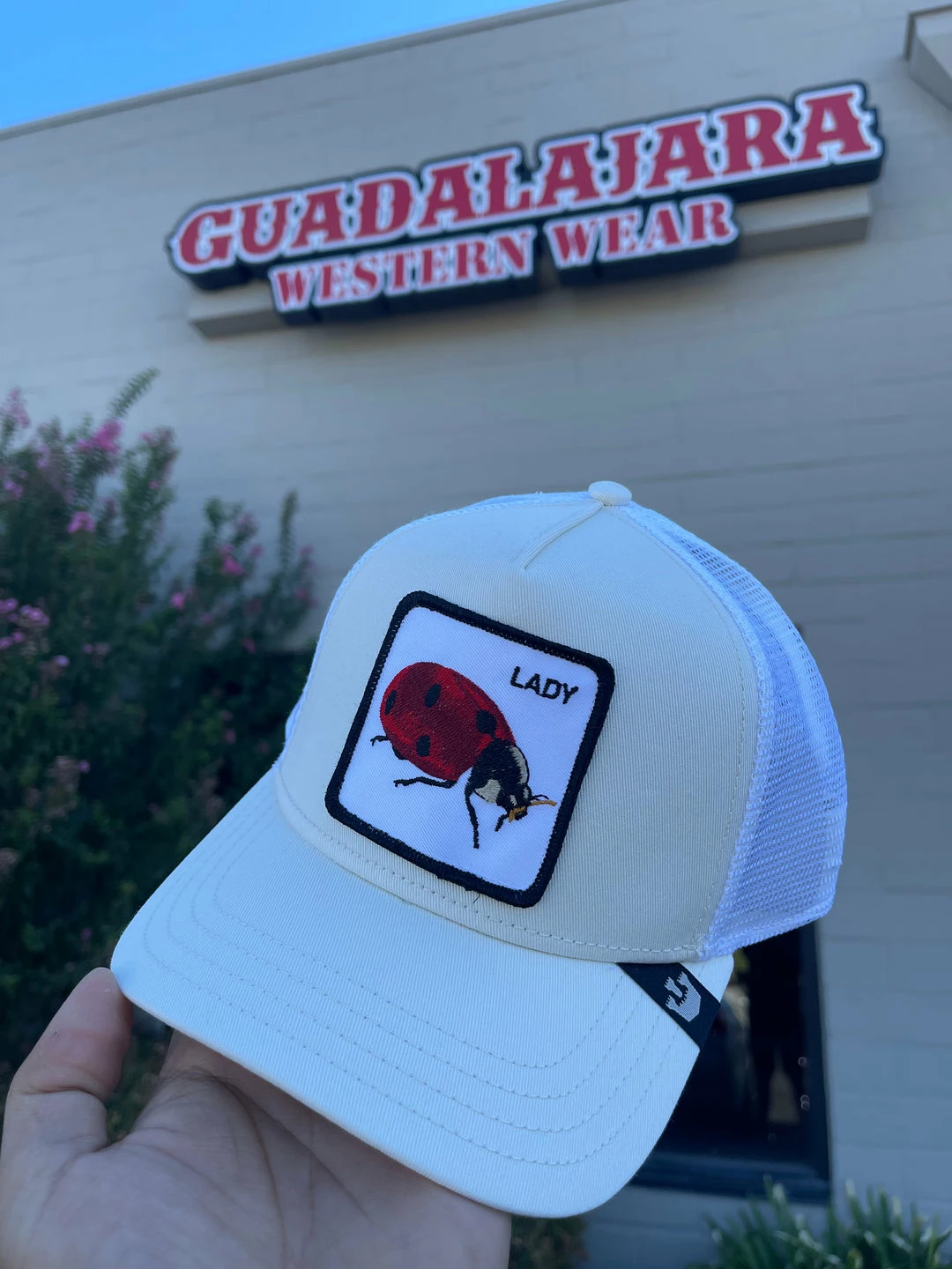 Guadalajara Western Wear Spot Accessories 3 Guadalajara Western Wear Spot Accessories