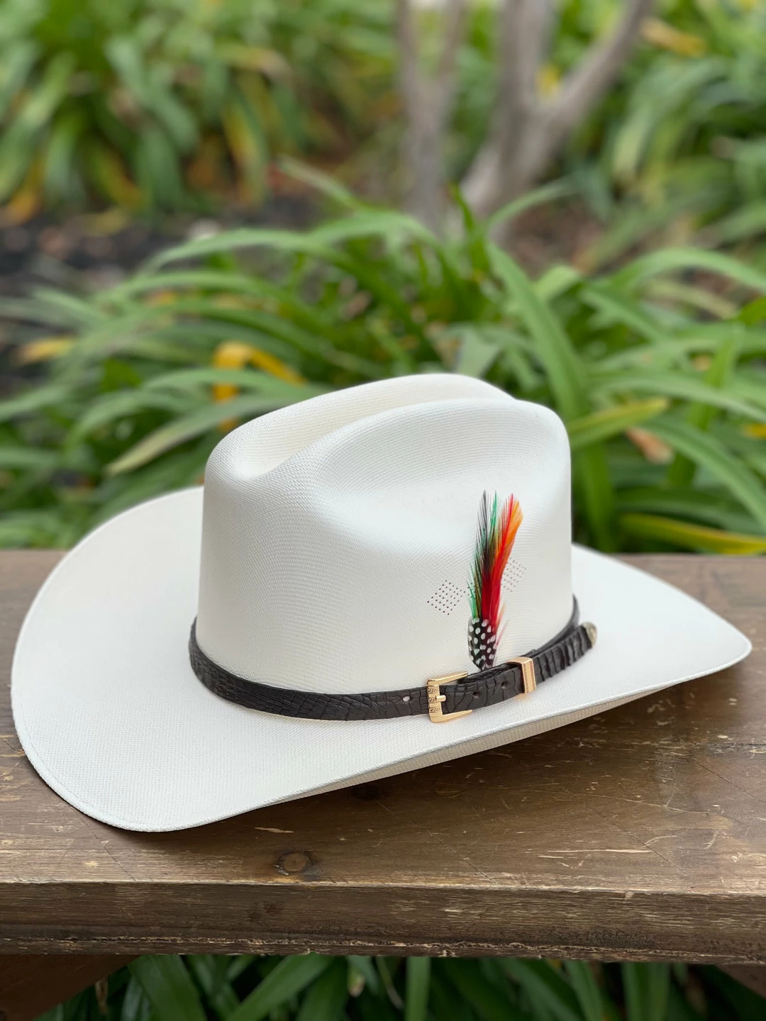 Guadalajara Western Wear Tombstone 1000x Johnson (Copa Chica) Toquilla Caiman Cafe Obscuro Men 5 Guadalajara Western Wear Tombstone 1000x Johnson (Copa Chica) Toquilla Caiman Cafe Obscuro Men