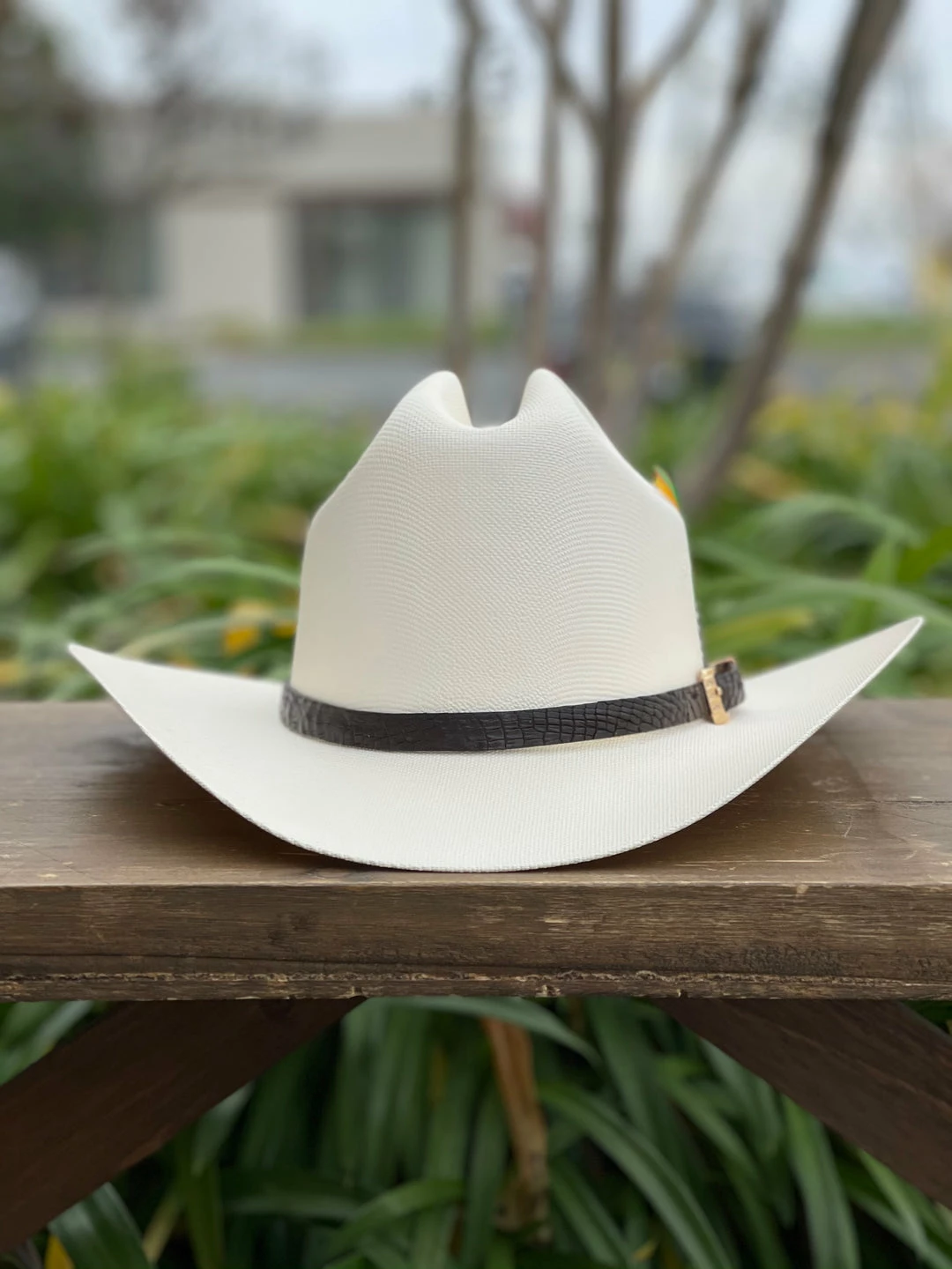 Guadalajara Western Wear Tombstone 1000x Johnson (Copa Chica) Toquilla Caiman Cafe Obscuro Men 6 Guadalajara Western Wear Tombstone 1000x Johnson (Copa Chica) Toquilla Caiman Cafe Obscuro Men