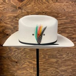 Guadalajara Western Wear Men Stetson Spartan 10x Straw Cowboy Hat 12 Guadalajara Western Wear Men Stetson Spartan 10x Straw Cowboy Hat