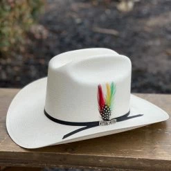 Guadalajara Western Wear Cuernos Chuecos 100x Durango (Copa Alta)