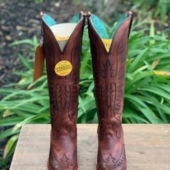 Guadalajara Western Wear Corral Boots Women's Shoes Cognac Snip Toe Tall Boot