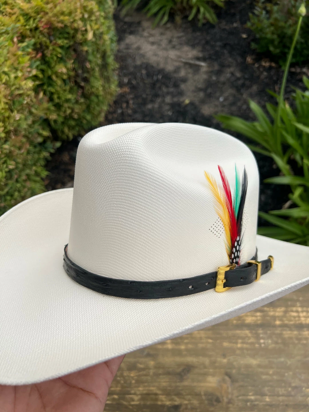 Guadalajara Western Wear Tombstone 1000x Johnson (Copa Chica) Toquilla Avestruz Negro 4 Guadalajara Western Wear Tombstone 1000x Johnson (Copa Chica) Toquilla Avestruz Negro