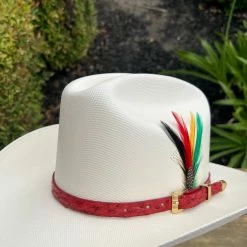 Guadalajara Western Wear Men Tombstone 1000x Johnson (Copa Chica) Toquilla Avestruz Rojo