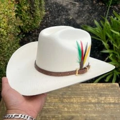 Guadalajara Western Wear Men Tombstone 1000x Johnson (Copa Chica) Toquilla Avestruz Cafe Obscuro