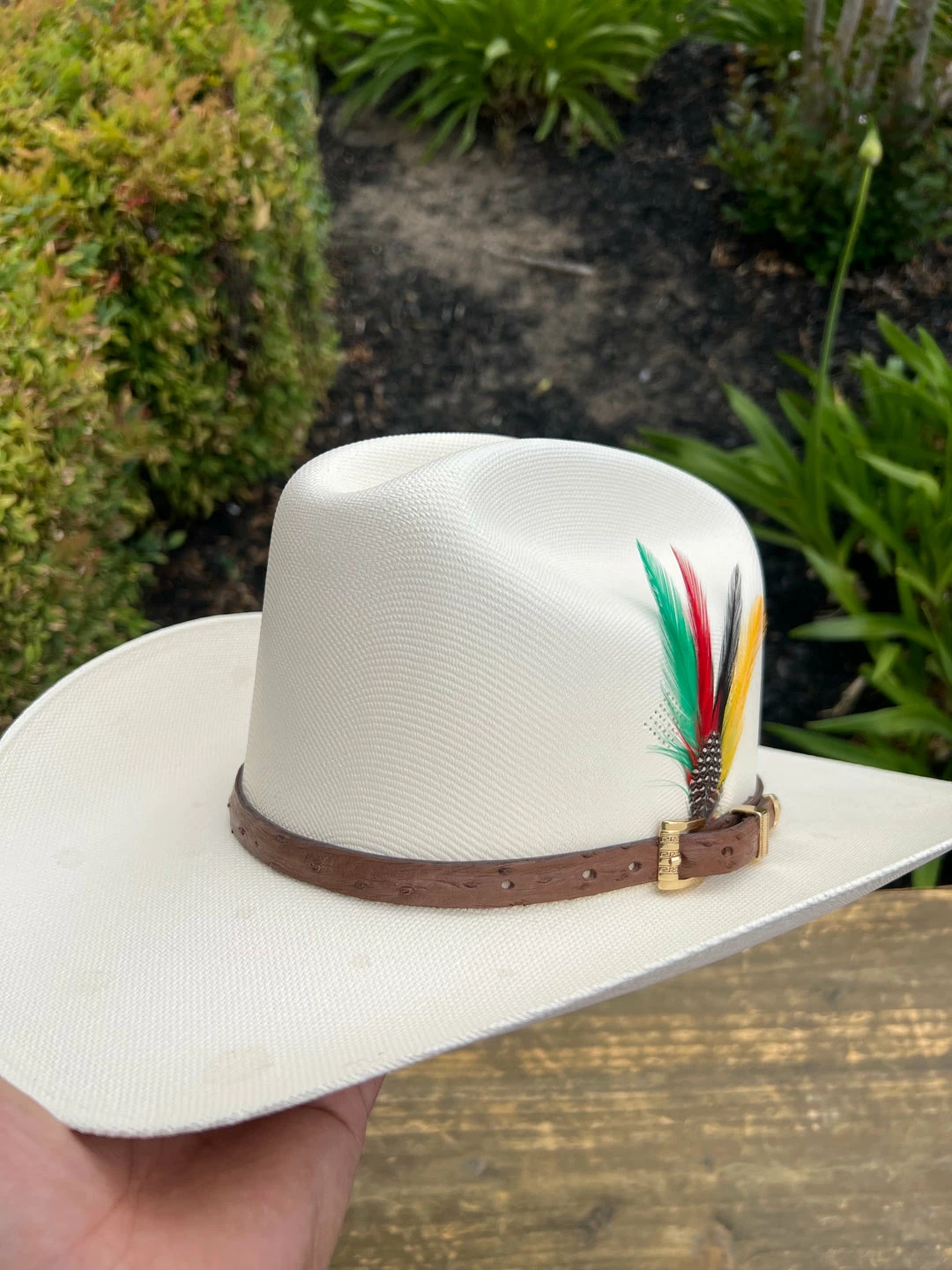 Guadalajara Western Wear Men Tombstone 1000x Johnson (Copa Chica) Toquilla Avestruz Cafe Obscuro 4 Guadalajara Western Wear Men Tombstone 1000x Johnson (Copa Chica) Toquilla Avestruz Cafe Obscuro