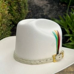 Guadalajara Western Wear Tombstone 1000x Johnson (Copa Chica) Toquilla Avestruz Hueso