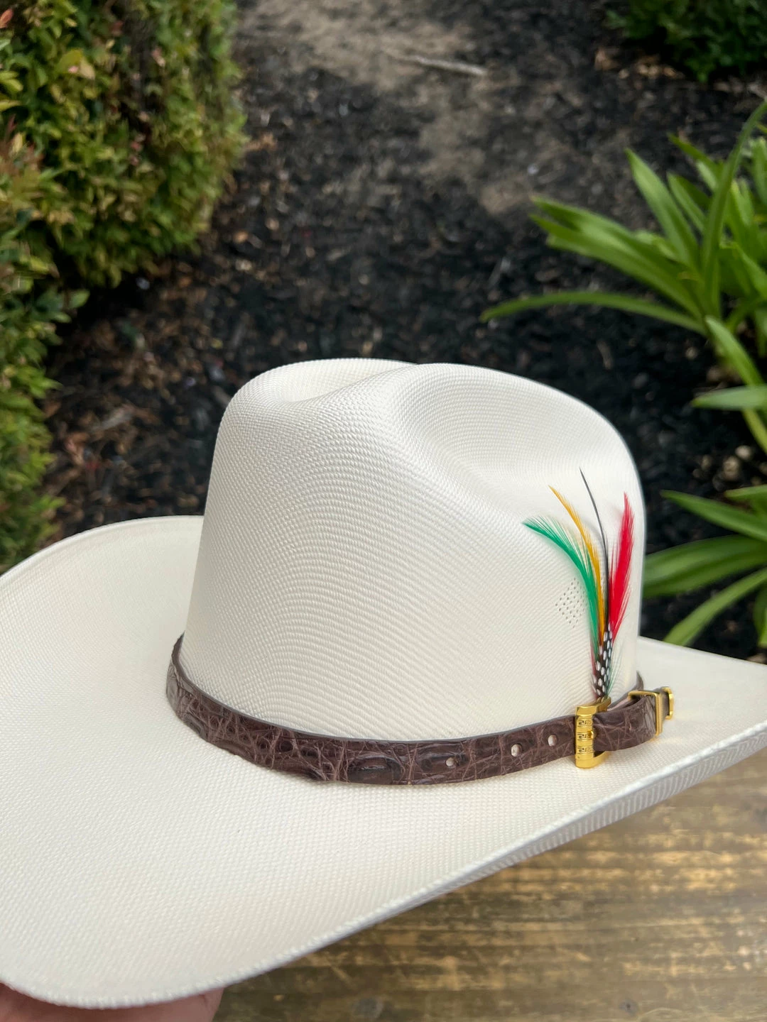 Guadalajara Western Wear Tombstone 1000x Johnson (Copa Chica) Toquilla Caiman Cafe Obscuro Men 4 Guadalajara Western Wear Tombstone 1000x Johnson (Copa Chica) Toquilla Caiman Cafe Obscuro Men