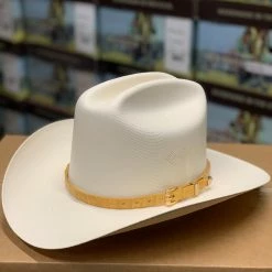 Guadalajara Western Wear Men Tombstone 1000x (Copa Chica) Toquilla Caiman Mantequilla 11 Guadalajara Western Wear Men Tombstone 1000x (Copa Chica) Toquilla Caiman Mantequilla