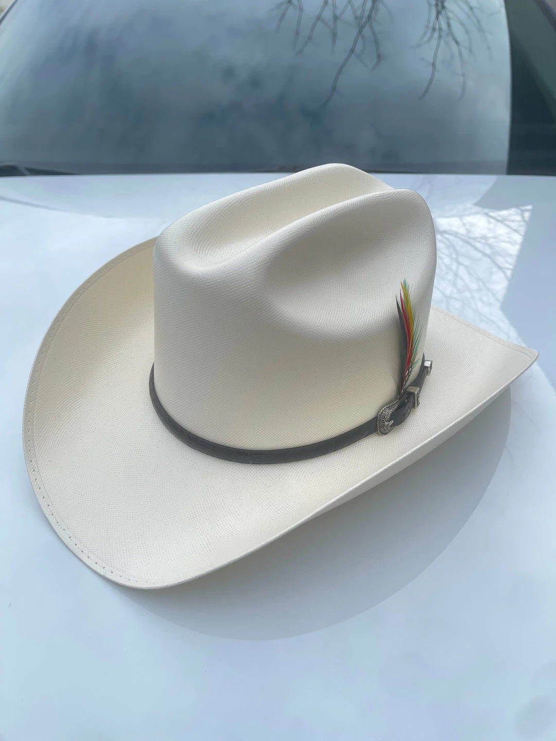 Guadalajara Western Wear Men Cuernos Chuecos 300x Milano With Caiman Hat Band (Exclusive) 8 Guadalajara Western Wear Men Cuernos Chuecos 300x Milano With Caiman Hat Band (Exclusive)