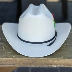 Guadalajara Western Wear Tombstone 100x Chaparral (Copa Chica Falda Chica) Men