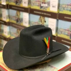 Men Stetson 6x Rancher Black Cowboy Felt Hat Sinaloa (Copa Alta Falda/Brim 3.5