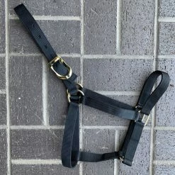 Guadalajara Western Wear Amartigón Negro / Black Halter