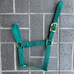 Guadalajara Western Wear Horse Gear / Accesorios Para Caballo Amartigón Verde / Green Halter