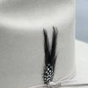 Guadalajara Western Wear Original Stetson Feather (Black/Negro)(Pack Of 2) Patches / Feathers / Plumas