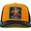 Guadalajara Western Wear Baby I'm A Star- Orange
