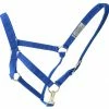 Guadalajara Western Wear Amartigón Azul / Blue Halter 1 Guadalajara Western Wear Amartigón Azul / Blue Halter