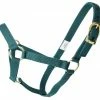 Guadalajara Western Wear Horse Gear / Accesorios Para Caballo Amartigón Verde / Green Halter