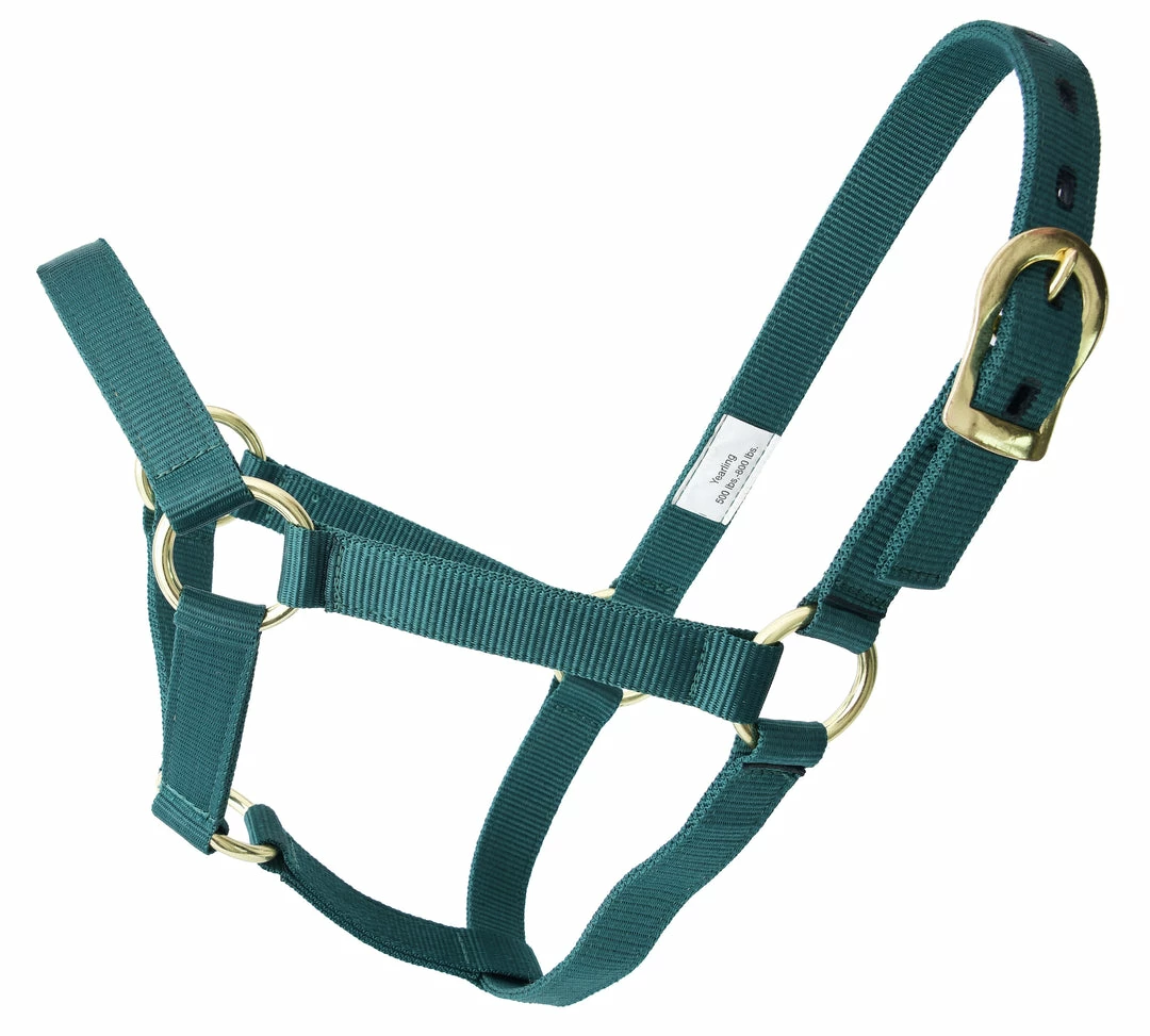 Guadalajara Western Wear Horse Gear / Accesorios Para Caballo Amartigón Verde / Green Halter 3 Guadalajara Western Wear Horse Gear / Accesorios Para Caballo Amartigón Verde / Green Halter